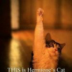 هرمیون گرنجر